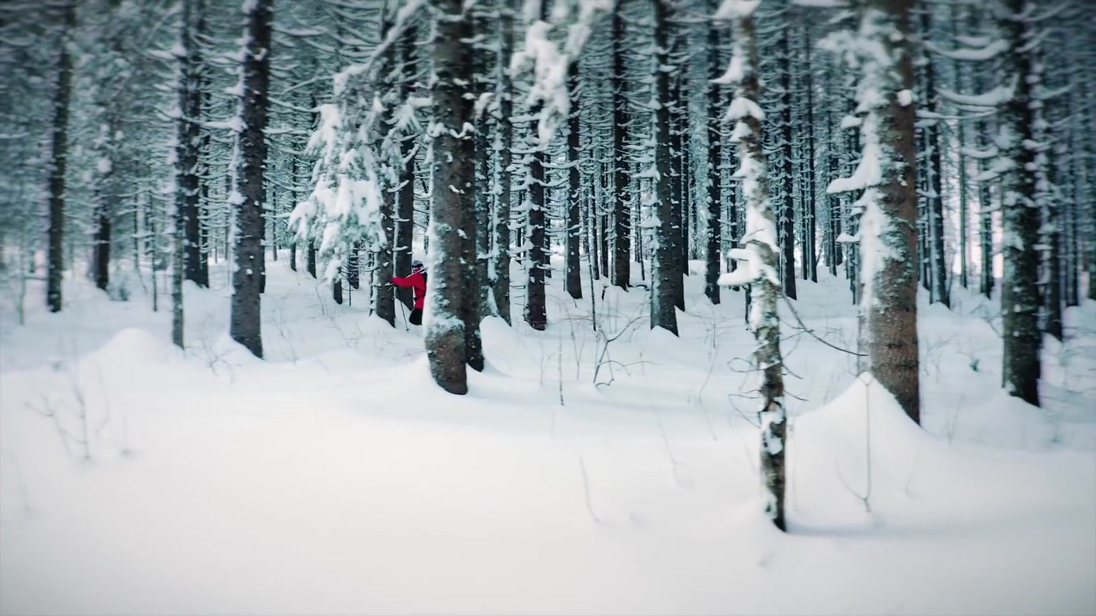 Richard Permin skiing through a snowy forest in Chroniques d'hiver
