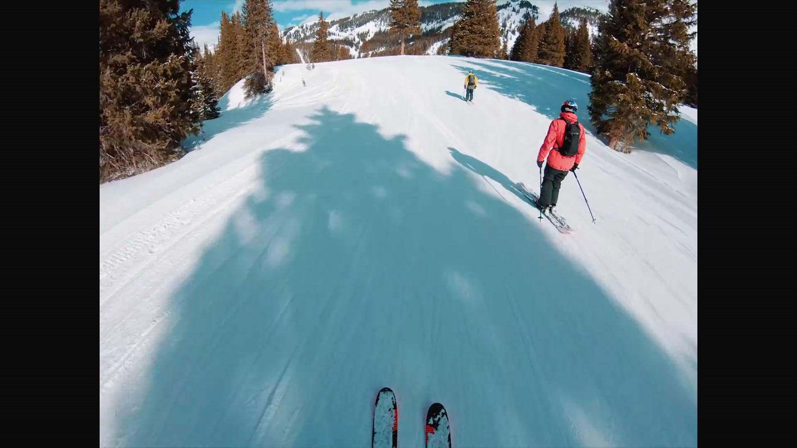 Carving a sunlit piste